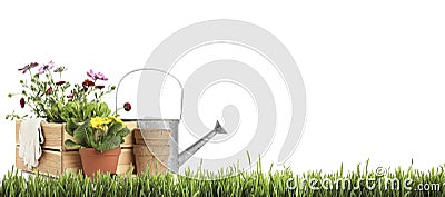 Potted blooming flowers and gardening tools on grass against white background, space for text. Banner design Stock Photo