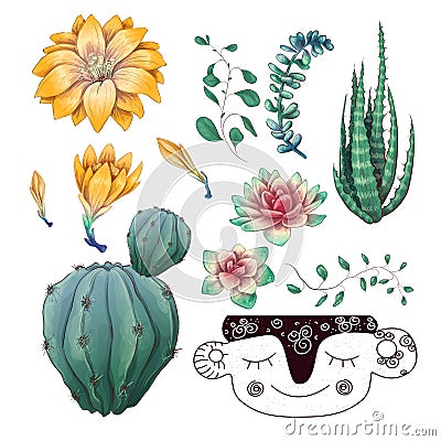 Potted cacti and succulents plants badge collection set. Vector Illustration