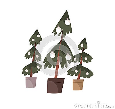 Potted Christmas trees. Xmas firs growing in planters, decorated with festive ornaments. Sustainable eco-friendly real Vector Illustration