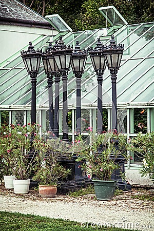 Potted flowering plant and old lamps in orangery near the Festetics palace, Keszthely, Zala, Hungary Stock Photo