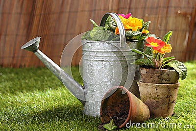 Potted flowers and a watering can Stock Photo