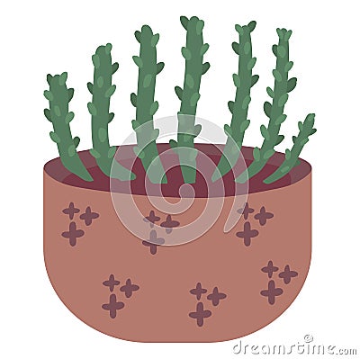 Potted green succulent plants in brown planter. Simple flat style indoor houseplants vector illustration Cartoon Illustration