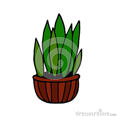 Potted houseplant hand drawn in doodle style. element graphic simple. cozy home, interior, plant, flower, pot, gardening. design Stock Photo