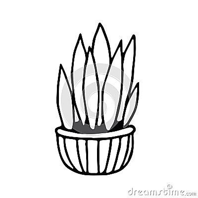 Potted houseplant hand drawn in doodle style. element vector graphic scandinavian hygge monochrome minimalism simple. cozy home, Stock Photo