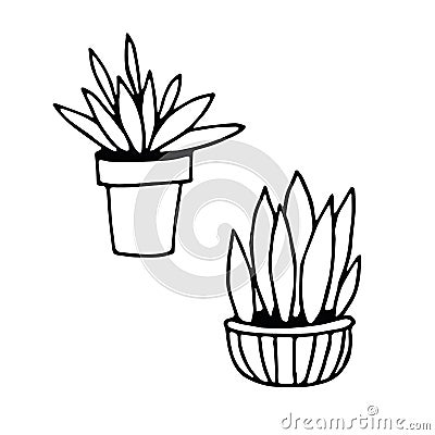 Potted houseplants set hand drawn in doodle style. collection of elements scandinavian hygge monochrome minimalism simple. cozy Stock Photo