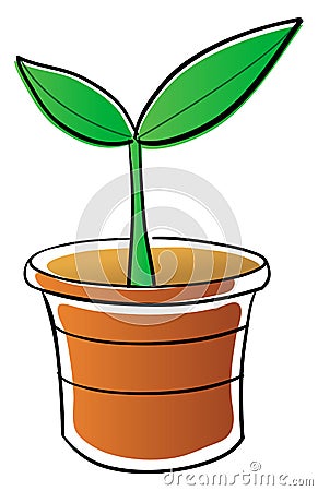 Potted plant Vector Illustration