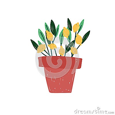 potted plant lemon Vector Illustration