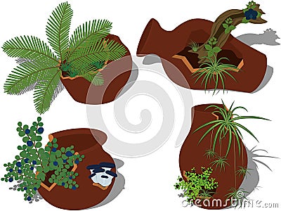 Potted plants collection, plants in cracked broken pots vector illustration Cartoon Illustration