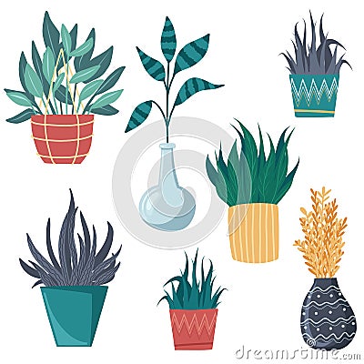 potted plants collection. succulents and house plants. hand drawn vector art. Home garden, growing plants, happy Vector Illustration