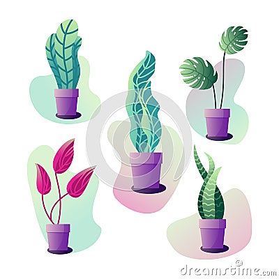 Potted plants set Vector Illustration