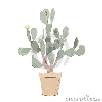 Potted Prickly Pear cactus. Old opuntia tree with fruits, and flowers in flower pot. Vector illustration isolated on Vector Illustration