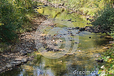 Peaceful Trout Stream Stock Photo