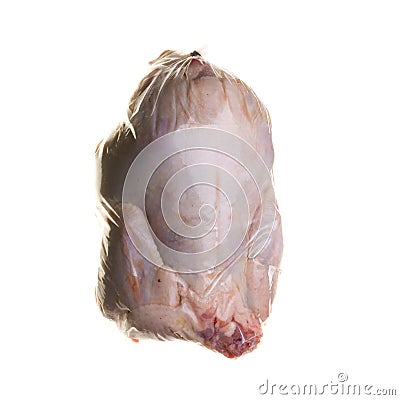 Poultry Stock Photo