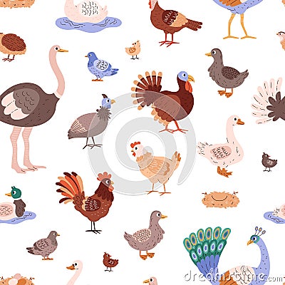 Poultry birds vector cartoon seamless pattern, different farm birds hen goose, duck, peacock, pheasant ostrich turkey Vector Illustration