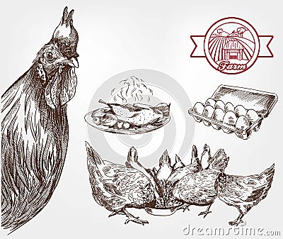 Poultry breeding Vector Illustration