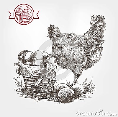 Poultry breeding sketches Vector Illustration