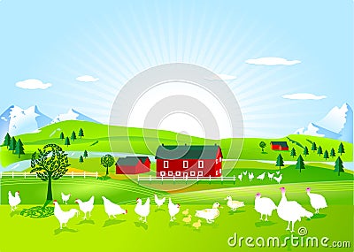 Poultry farm Vector Illustration