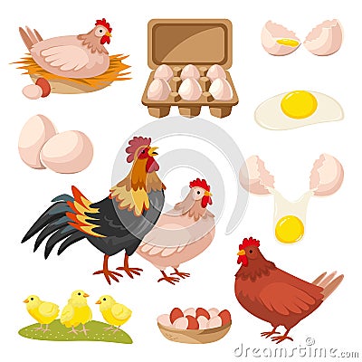 Poultry farm and fresh eggs. Hen, rooster, chicken design elements, isolated on white background. Vector illustration Vector Illustration