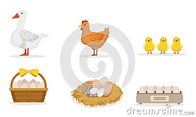 Poultry Farm With Goose, Hen, Three Little Baby Birds And Different Eggs Vector Illustration Set Isolated On White Vector Illustration