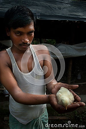 POULTRY FARM Editorial Stock Photo