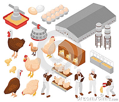 Poultry Farm Isometric Set Vector Illustration