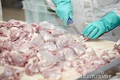 Poultry processing Stock Photo