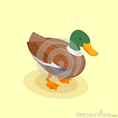 Duck Isometric Background Vector Illustration