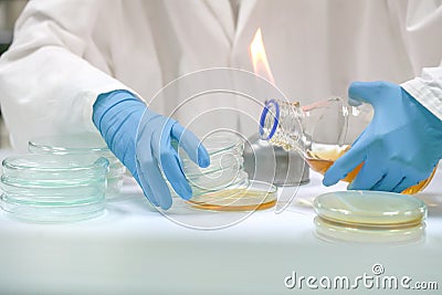 The Pour Plate method where in the sample is suspended Stock Photo