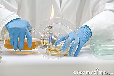 The Pour Plate method where in the sample is suspended Stock Photo