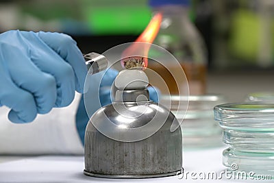 The Pour Plate method where in the sample is suspended Stock Photo