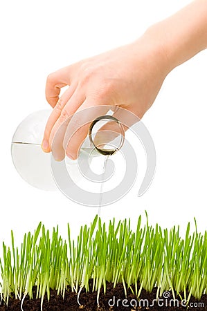 Pouring grass Stock Photo