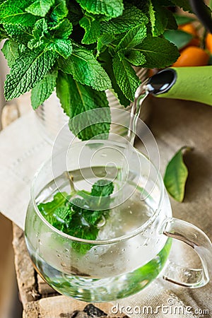 Pouring hot water from pot into glass cup, brewing fresh mint herbal tea, cozy atmosphere Stock Photo