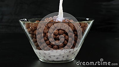 Pouring milk and chocolate cereal balls into a glass bowl on black background. Close up. Stock Photo