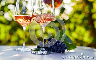 Pouring rose wine into glasses on a table in a vineyard Stock Photo