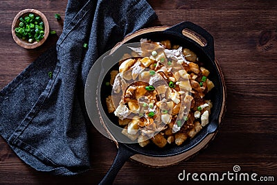 Poutine tater tot nachos, against a dark background, ready for snacking. Stock Photo
