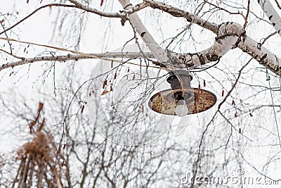 Poverty and Devastation. Rusty rusty street lamp screwed to a tree branch Stock Photo