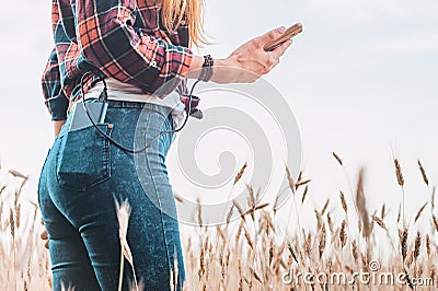 Power bank in the back pocket of a girl in a yellow field charges the phone, against the background of ears of wheat and sky, side Stock Photo