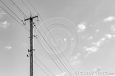 Power electric pole with line wire on light background close up Stock Photo