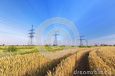 Power line bright summer day Stock Photo