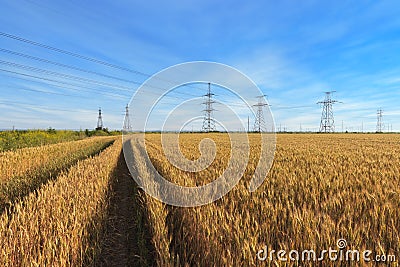 Power line bright summer day Stock Photo