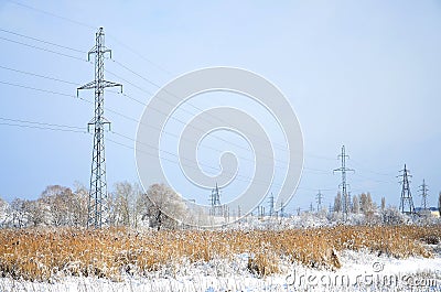 The power line tower is located in a marshy area, covered with snow. Large field of yellow bulrushes Stock Photo