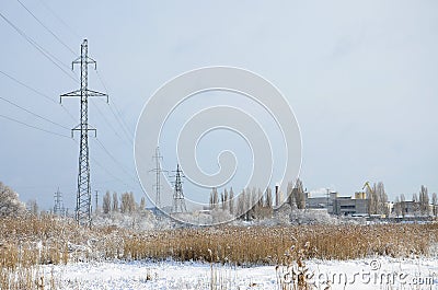 The power line tower is located in a marshy area, covered with snow. Large field of yellow bulrushes Stock Photo