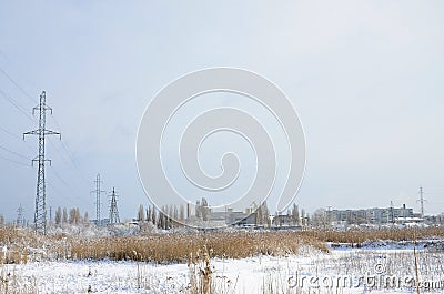 The power line tower is located in a marshy area, covered with snow. Large field of yellow bulrushes Stock Photo