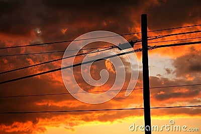 Power lines seen at sunset Stock Photo