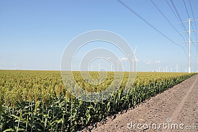 Power lines and wind turbines Stock Photo