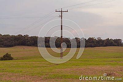 The electric power pole and the pasture field Stock Photo