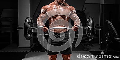 Powerful bodybuilder trains in a gym with a barbell. No name portrait. Bodybuilding concept Stock Photo