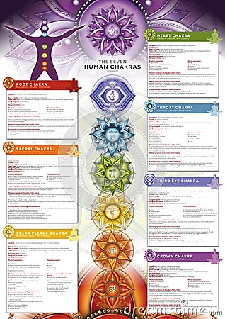 Powerful 7 Chakra - Infographic poster/wallpaper including detailed description, characteristics and features Stock Photo