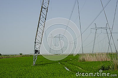 Powerful power line running through cultivated farmland Stock Photo