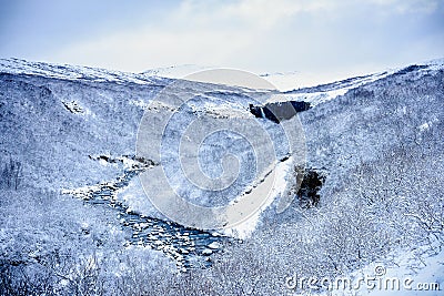 Powerful river leading to the Svartifoss waterfall in Skaftafell National Park Stock Photo